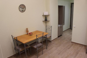 Comfortable apartment in the center of Athens